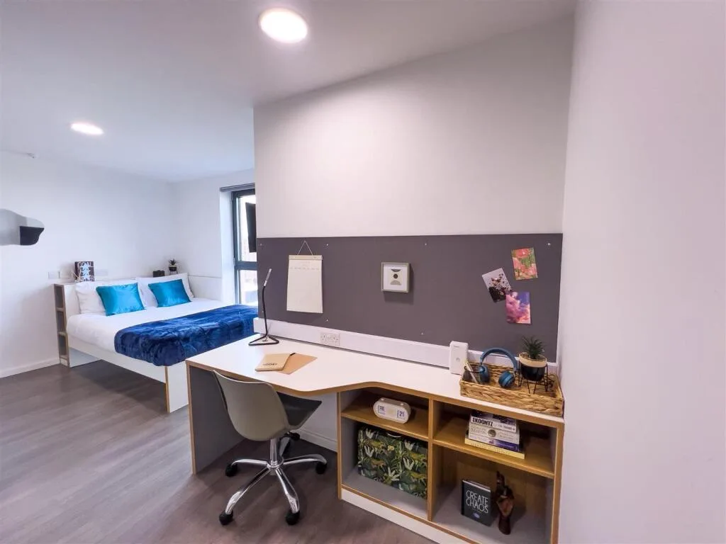 Studio flat for rent