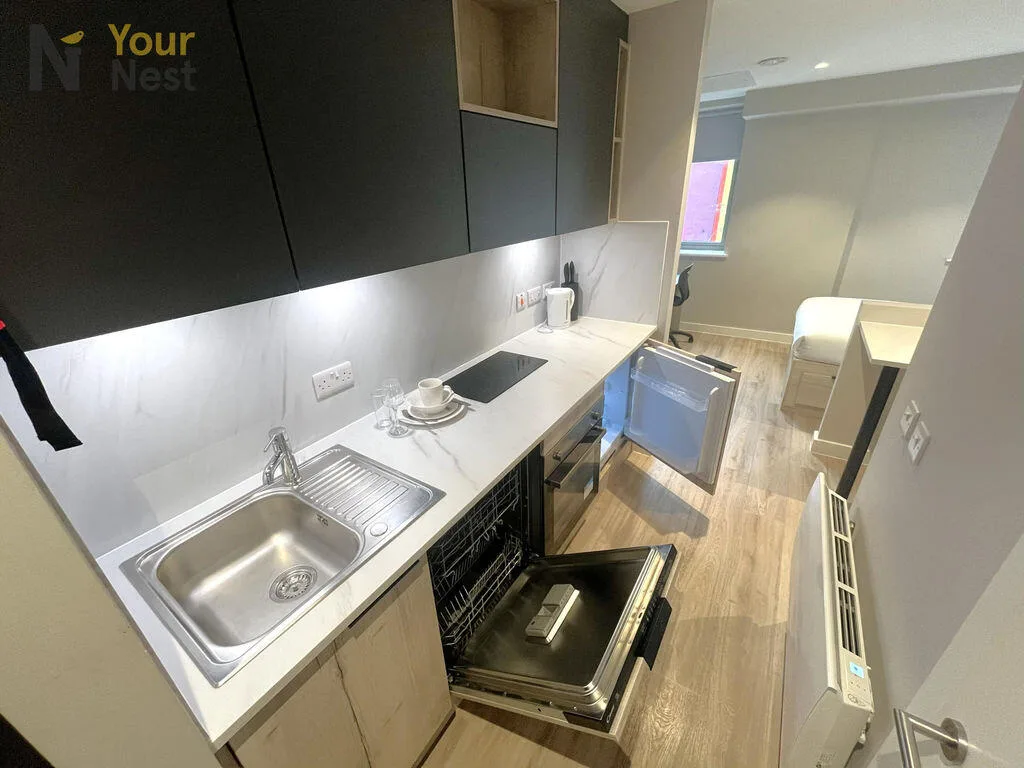Studio flat for rent