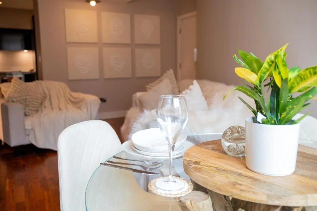 1 bedroom apartment for rent