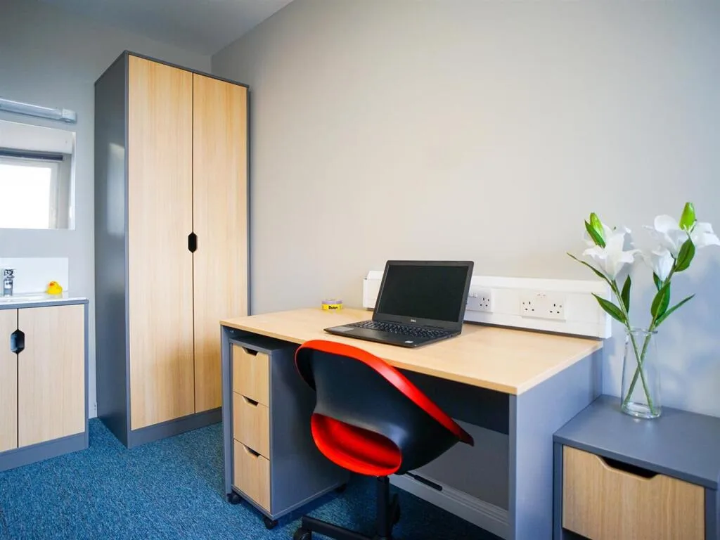 1 bedroom flat share for rent