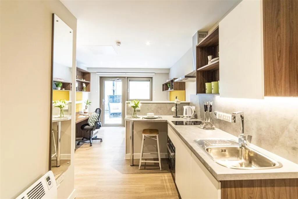 Studio flat for rent