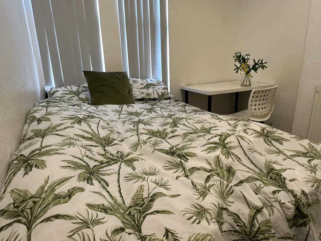 1 bedroom house for rent