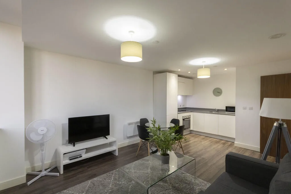 1 bedroom apartment for rent
