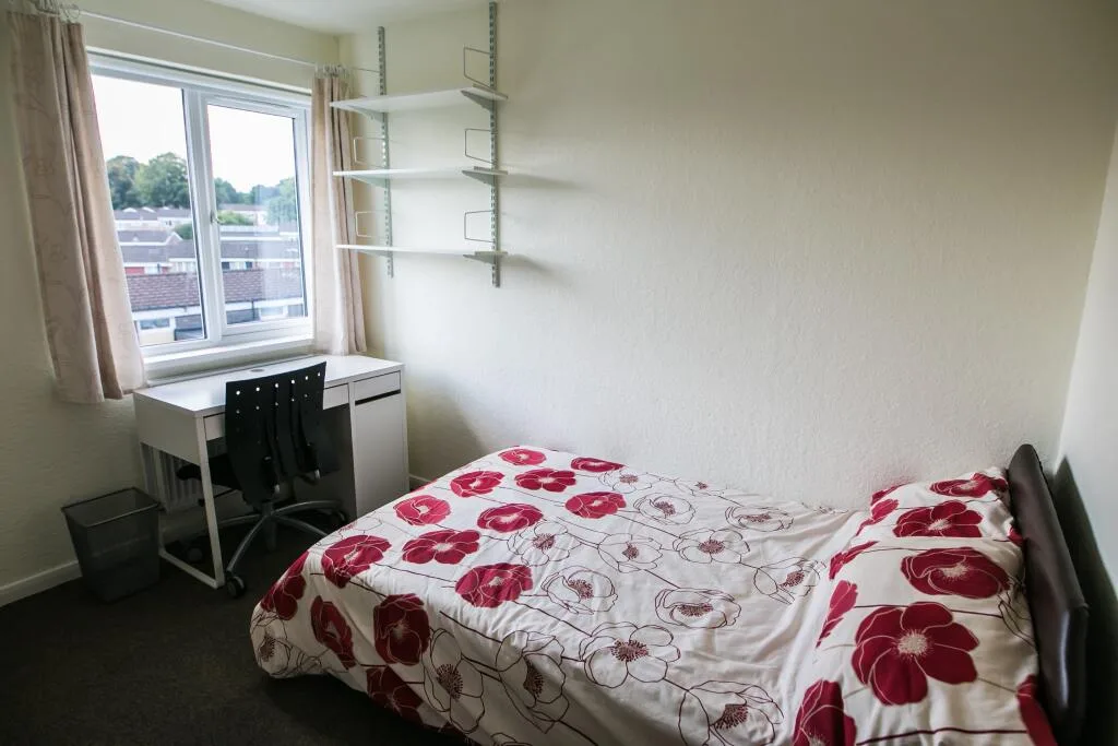 4 bedroom house for rent