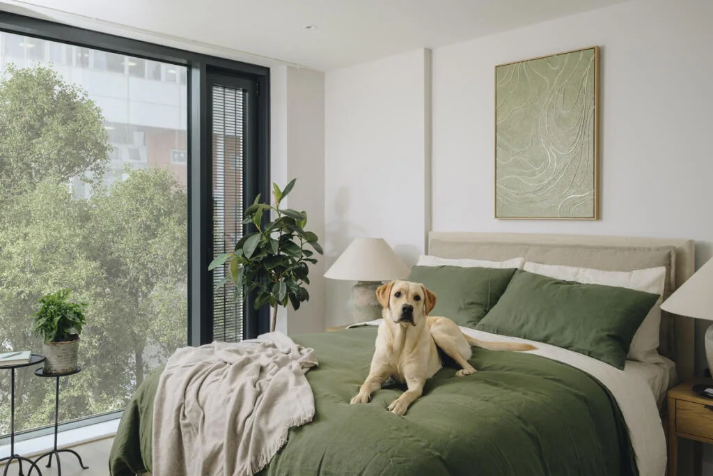 2 bedroom apartment for rent