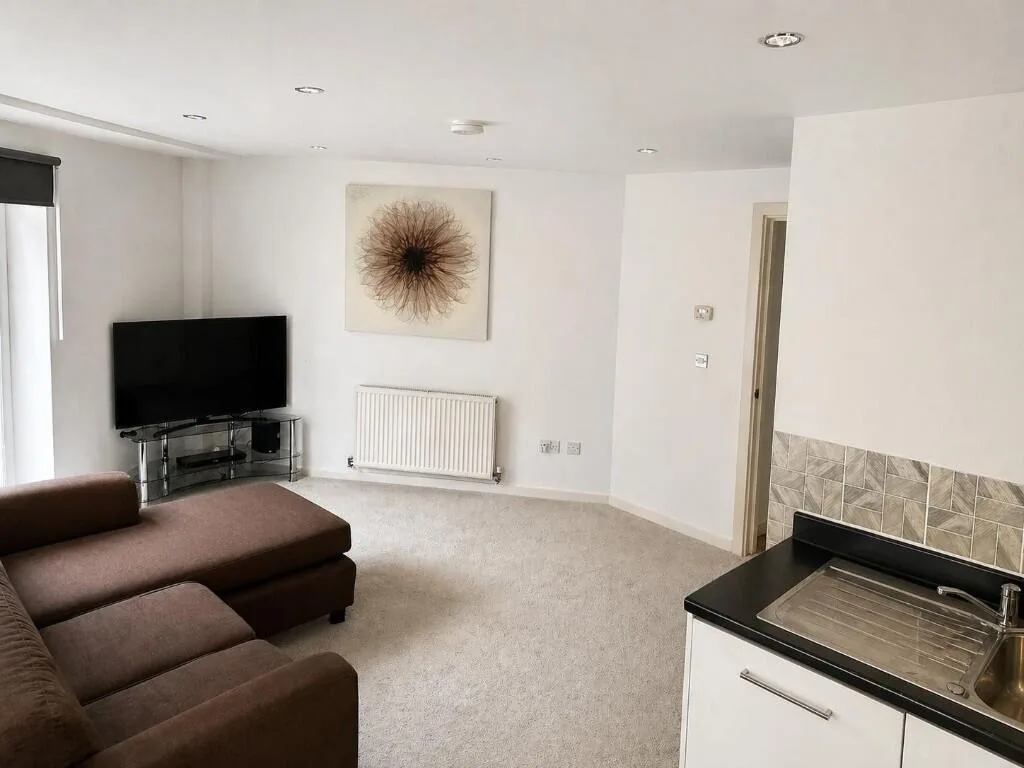 1 bedroom flat for rent