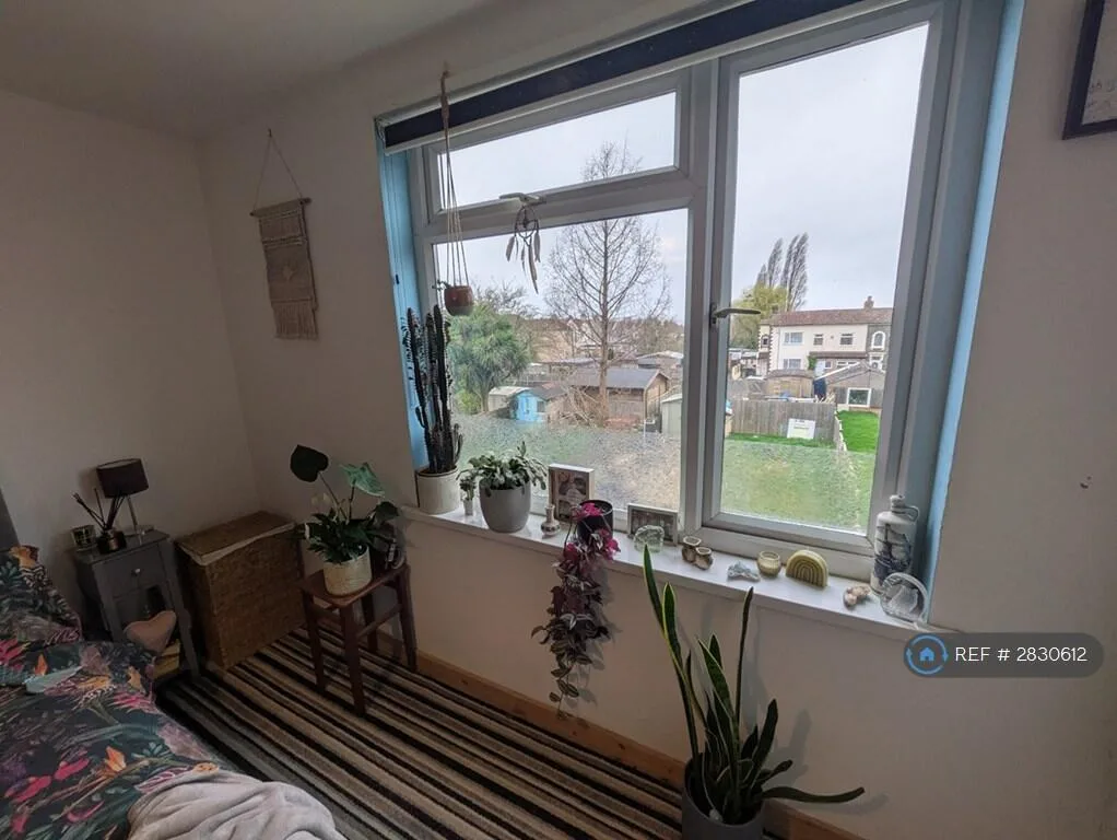 1 bedroom house share for rent
