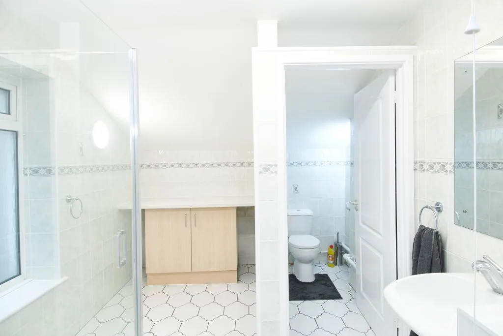 1 bedroom flat share for rent