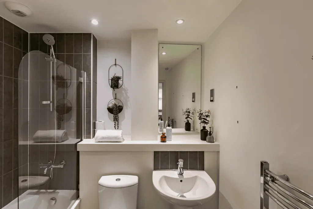 1 bedroom apartment for rent