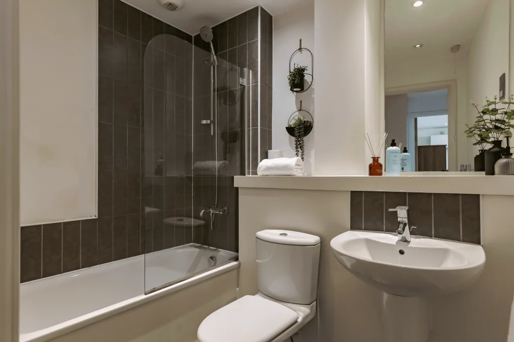 1 bedroom apartment for rent