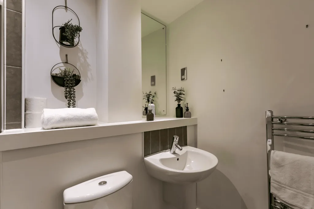 1 bedroom apartment for rent