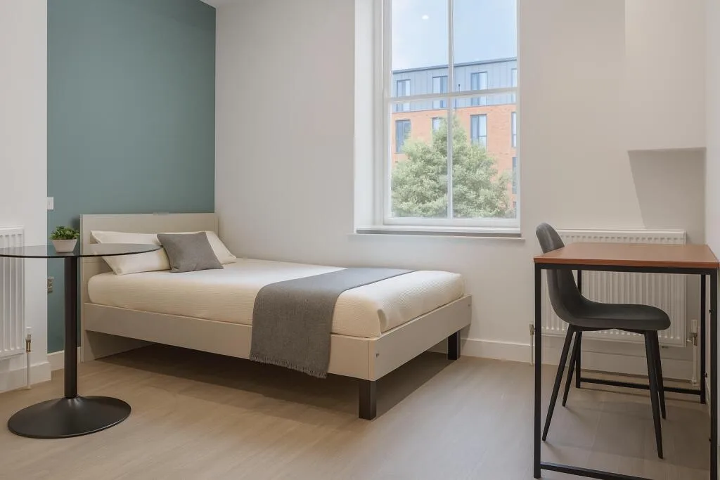 Studio flat for rent