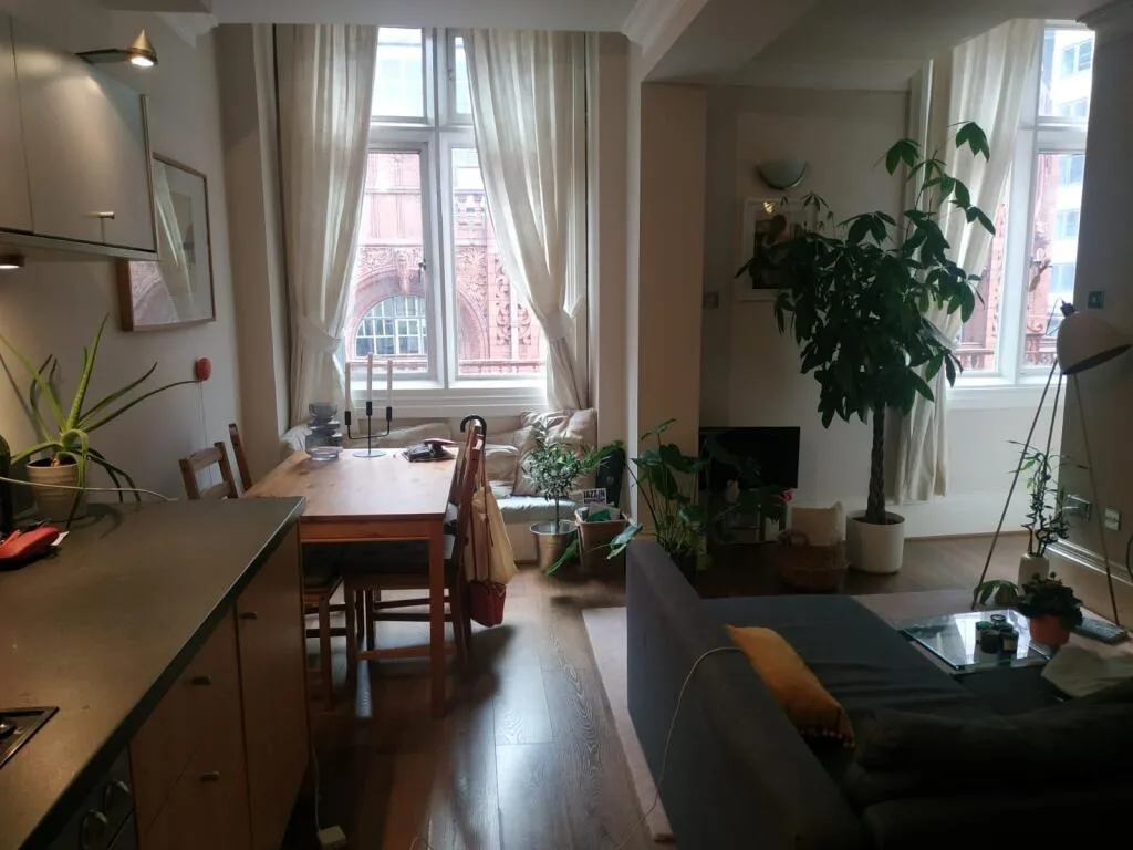 1 bedroom apartment for rent