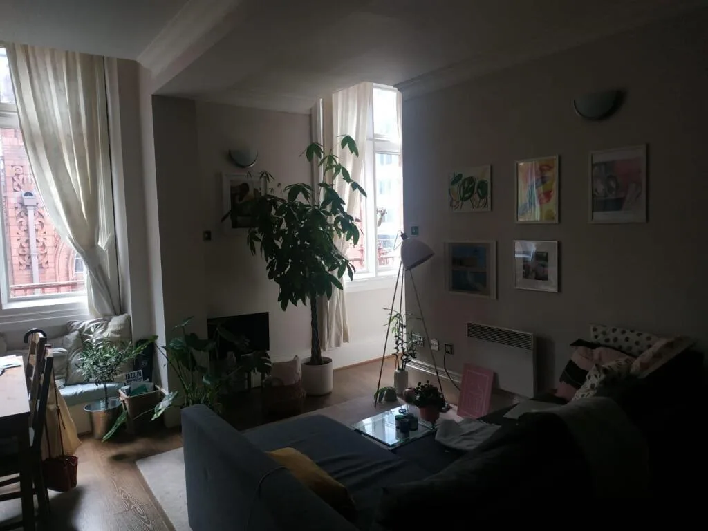 1 bedroom apartment for rent