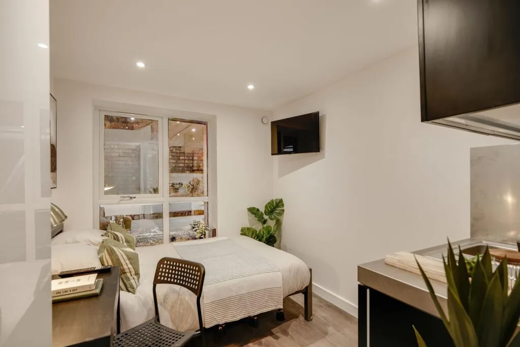 7 bedroom flat for rent