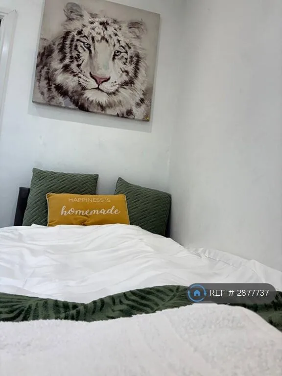 4 bedroom semi-detached house for rent