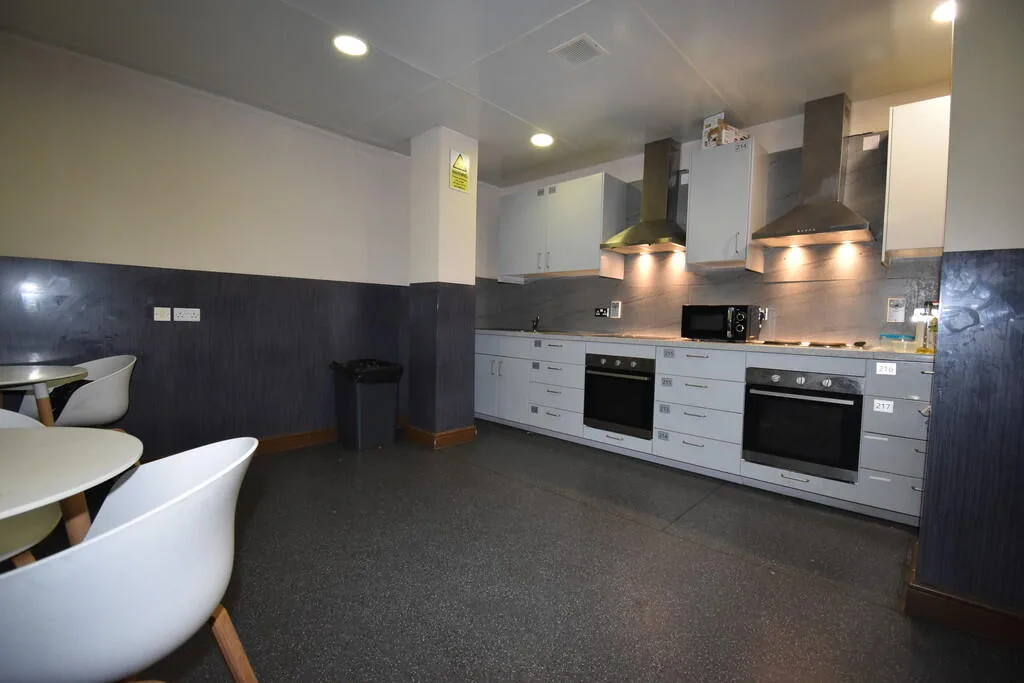 1 bedroom house share for rent
