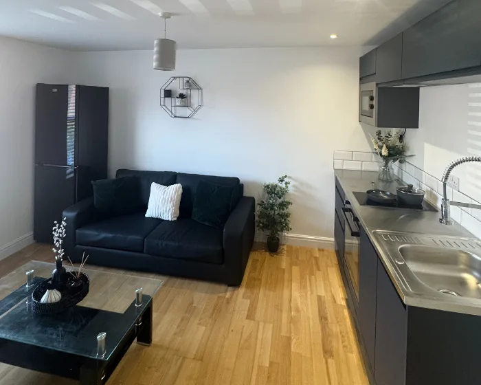 1 bedroom flat for rent