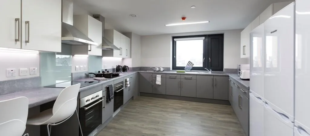 1 bedroom flat share for rent