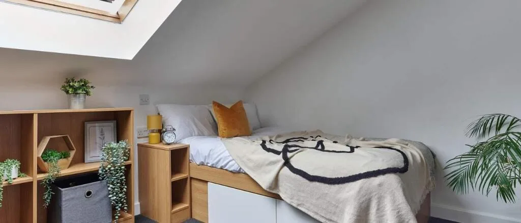 Studio flat for rent
