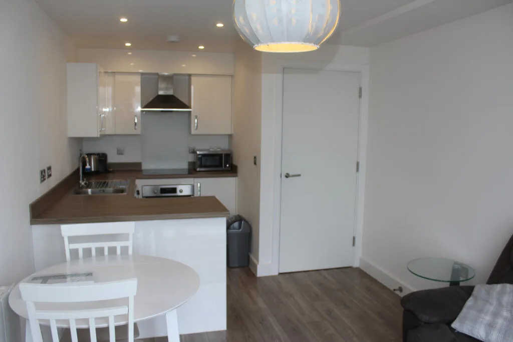 1 bedroom flat for rent