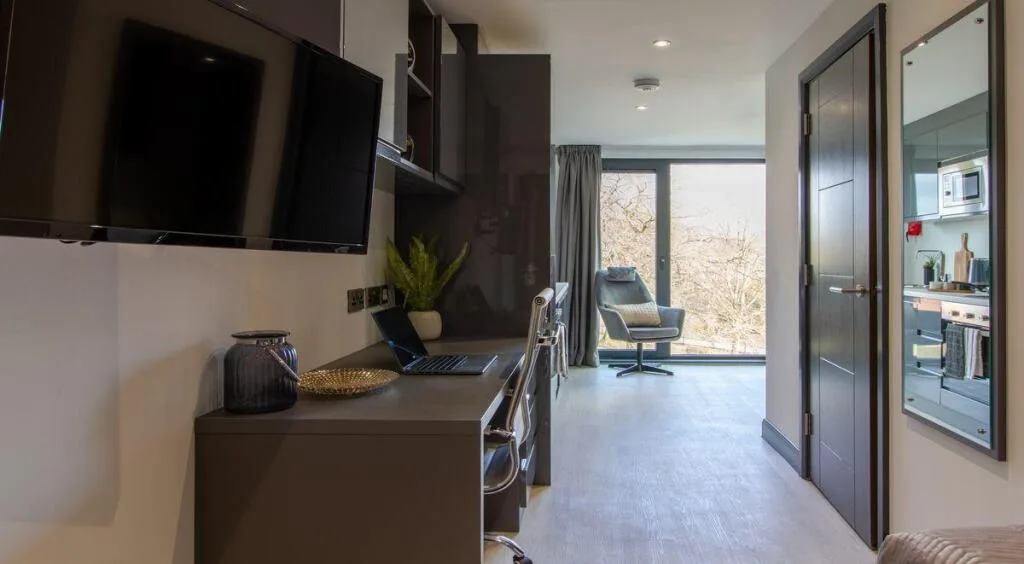 Studio flat for rent