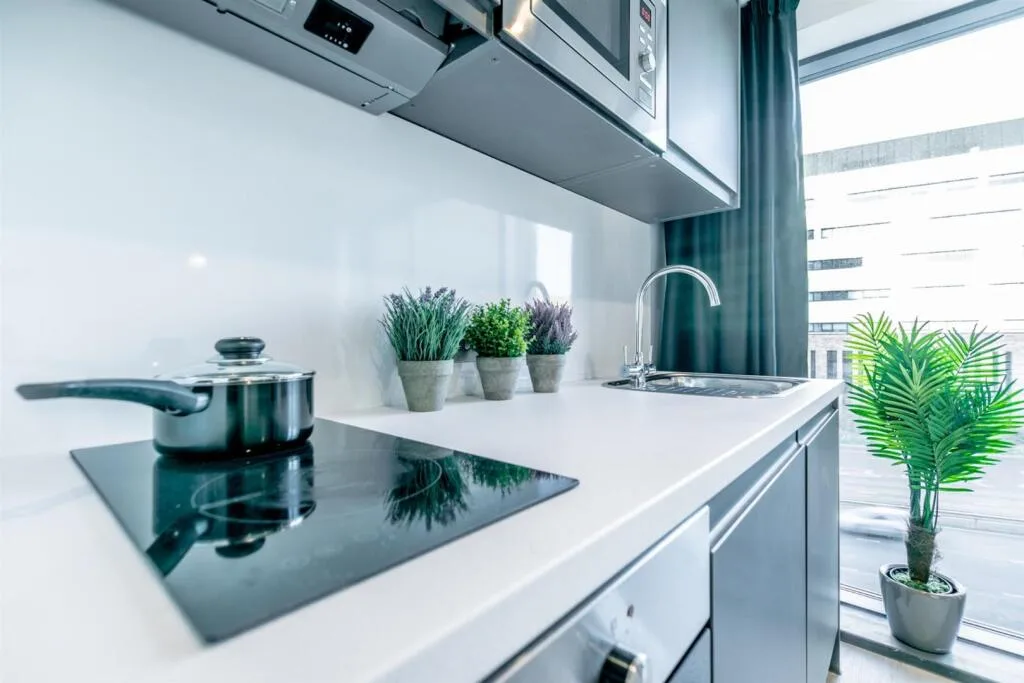 Studio flat for rent