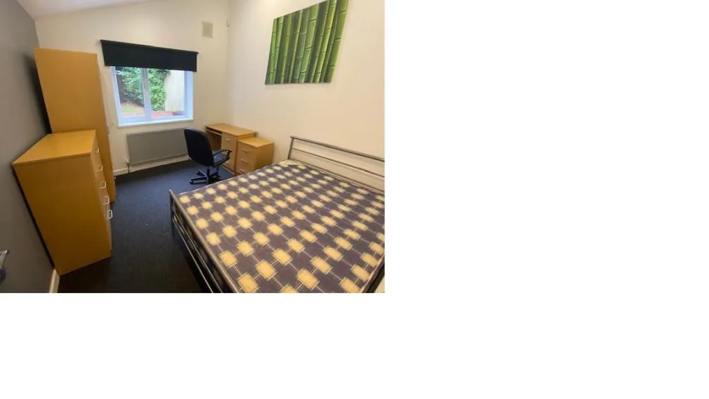 1 bedroom house for rent