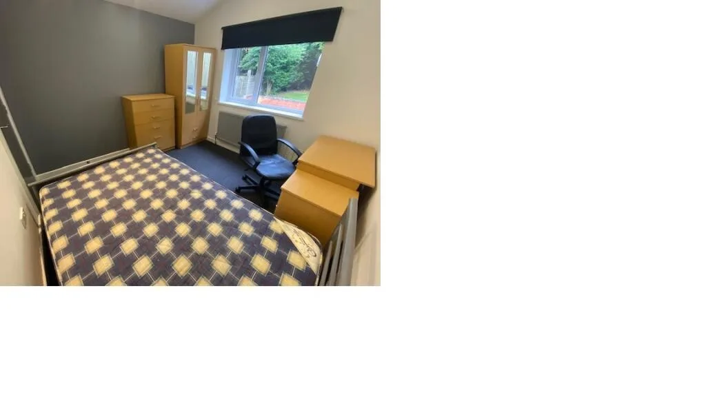 1 bedroom house for rent