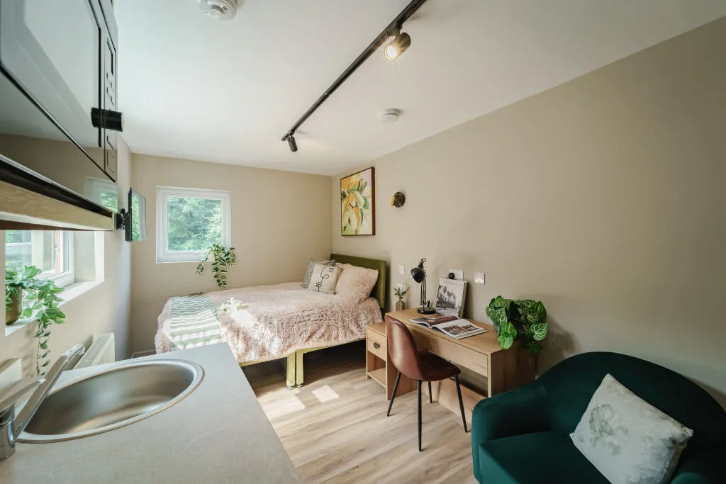1 bedroom house for rent