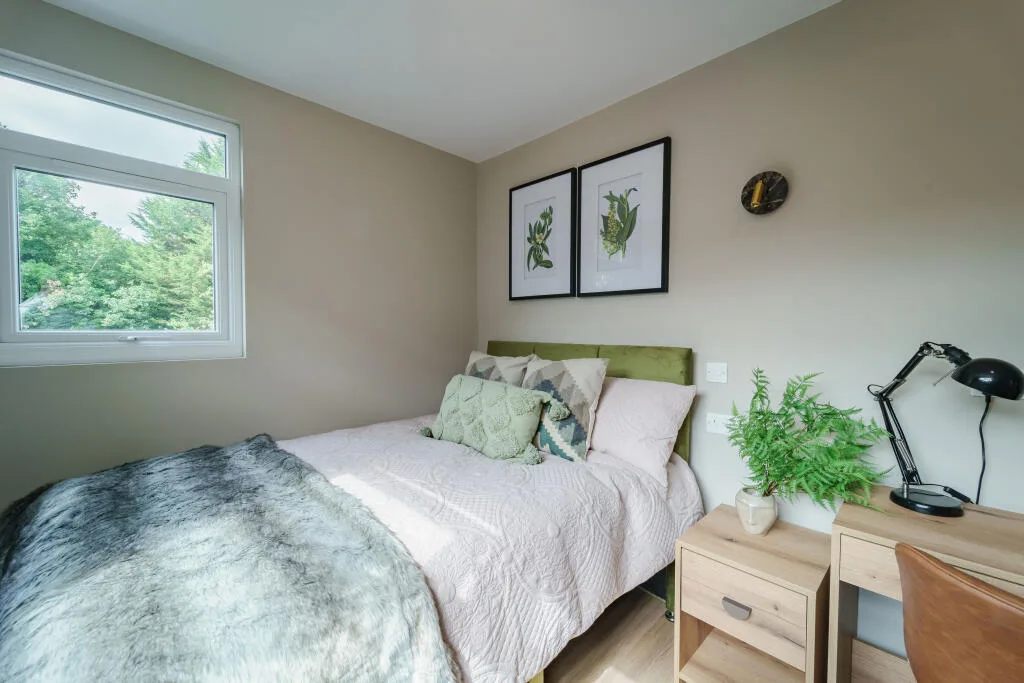 1 bedroom house for rent