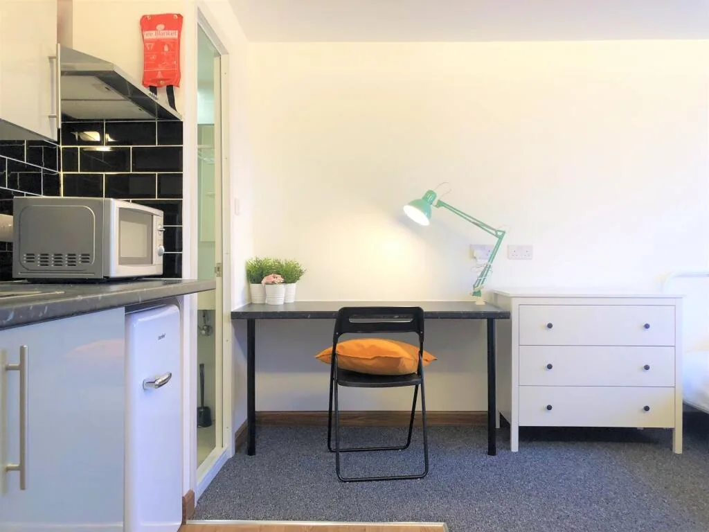 Studio flat for rent