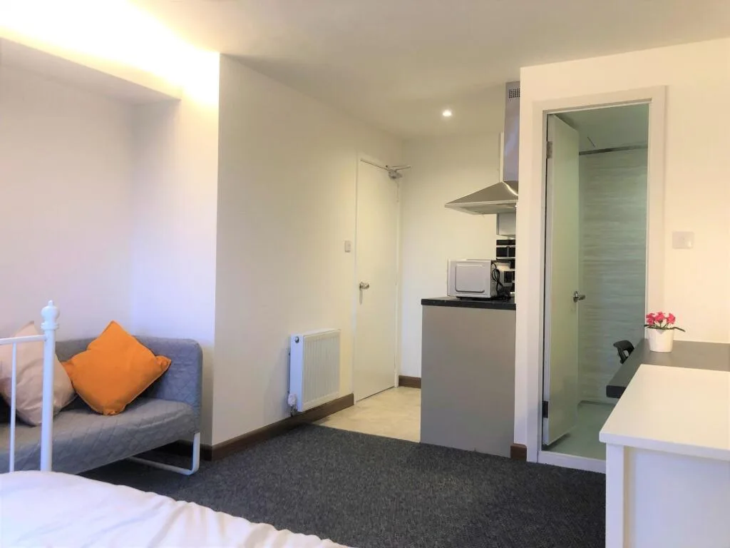 Studio flat for rent