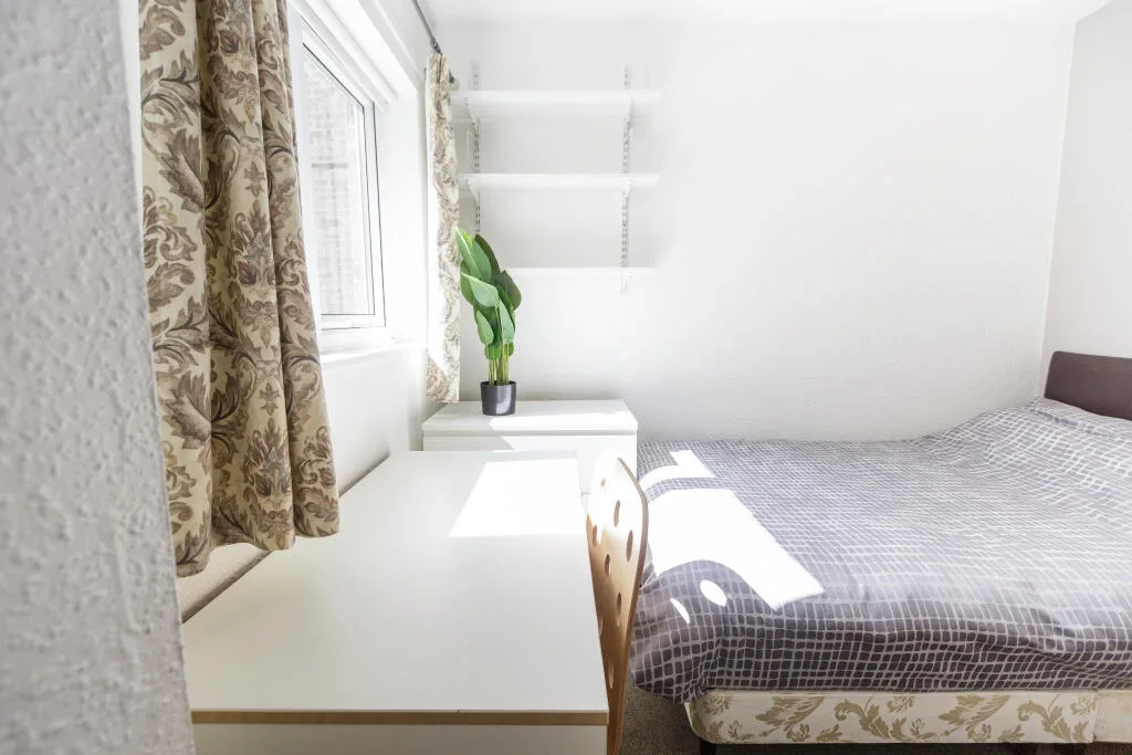 6 bedroom house for rent