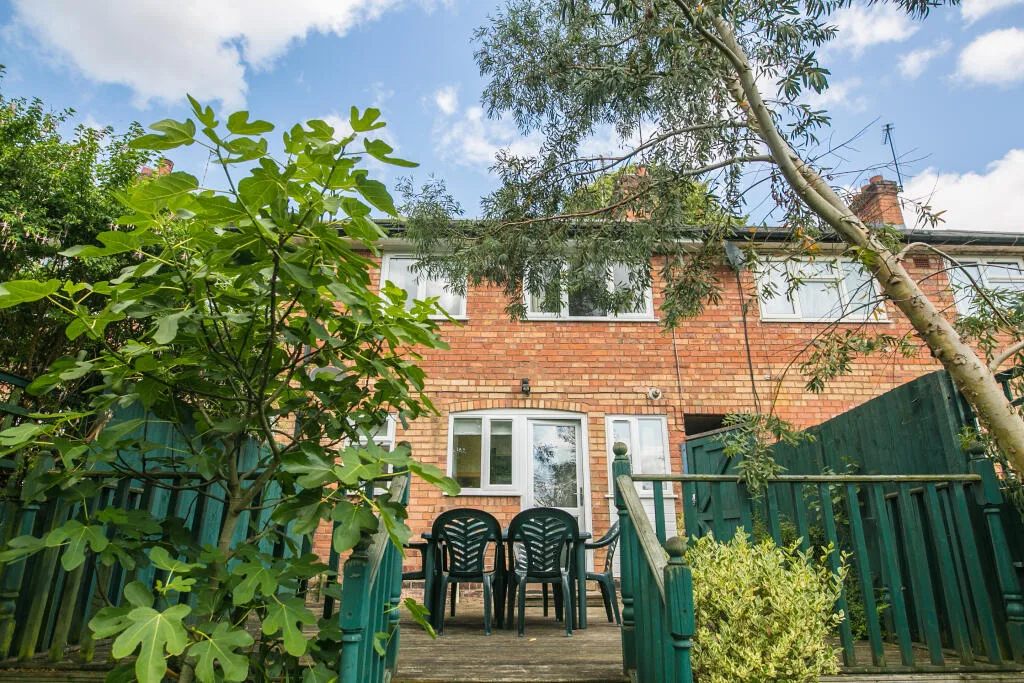 3 bedroom house for rent