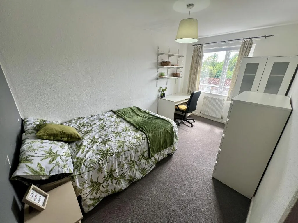 3 bedroom house for rent