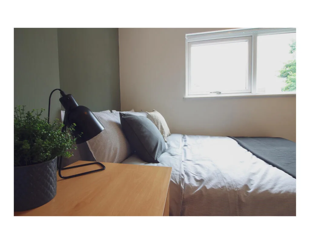 6 bedroom house for rent