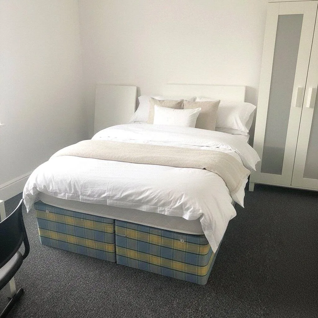 3 bedroom house for rent