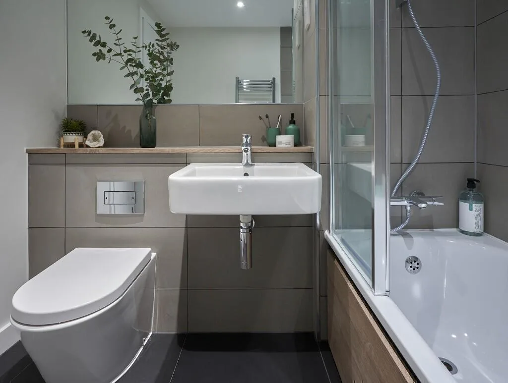 2 bedroom apartment for rent