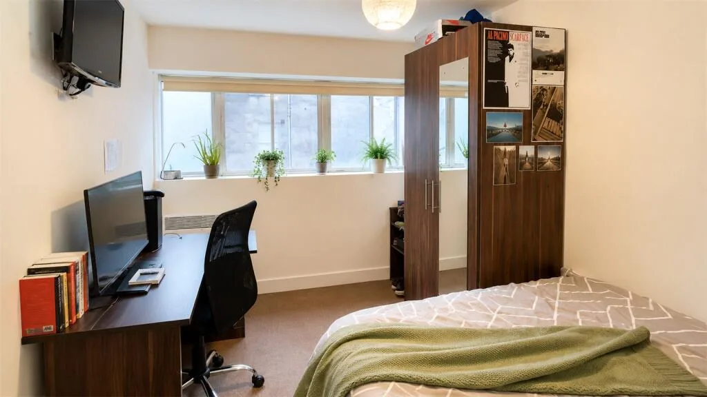 4 bedroom apartment for rent