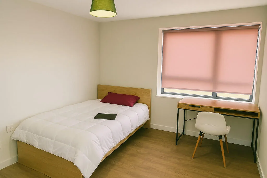 3 bedroom apartment for rent