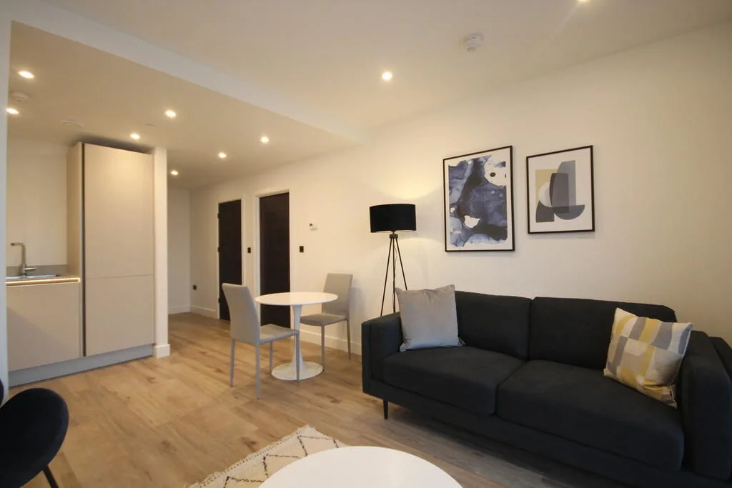 1 bedroom apartment for rent