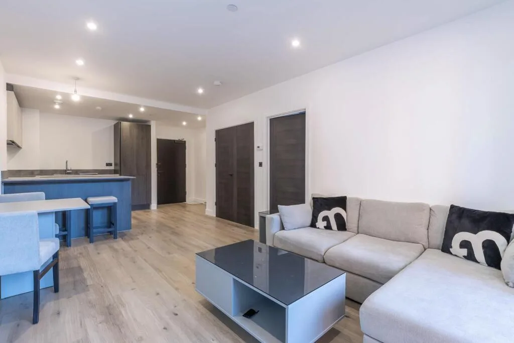 1 bedroom apartment for rent