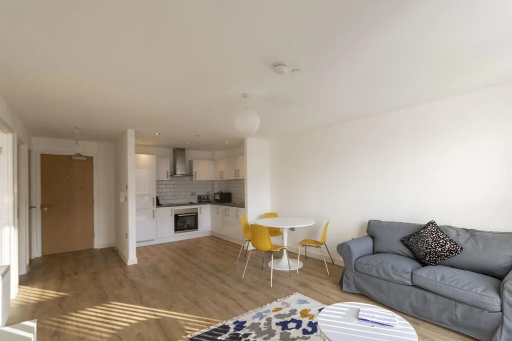 1 bedroom apartment for rent