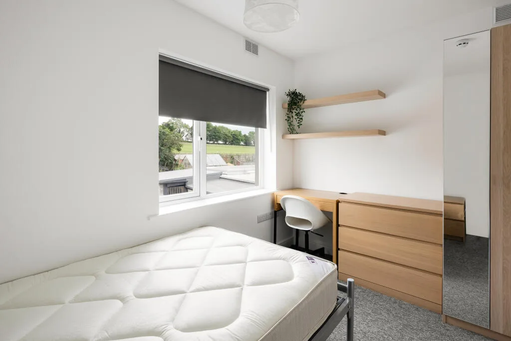 1 bedroom house of multiple occupation for rent