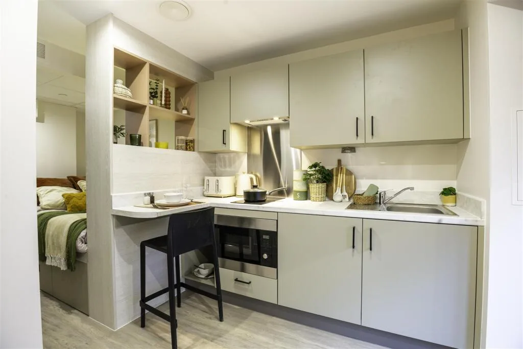 Studio flat for rent