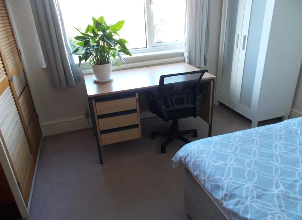 4 bedroom house for rent
