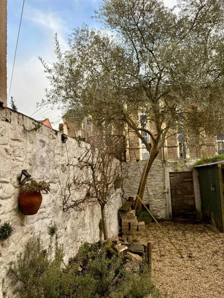 1 bedroom house share for rent