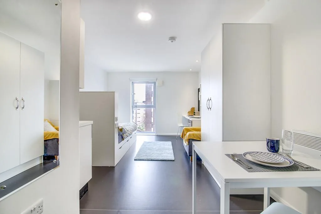 Studio flat for rent