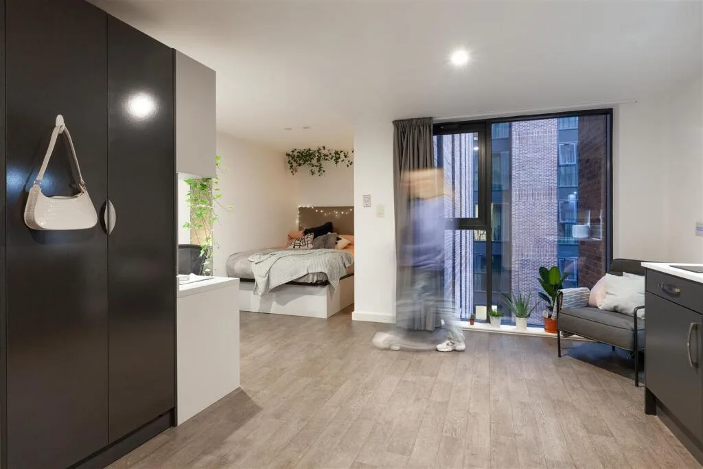 Studio flat for rent